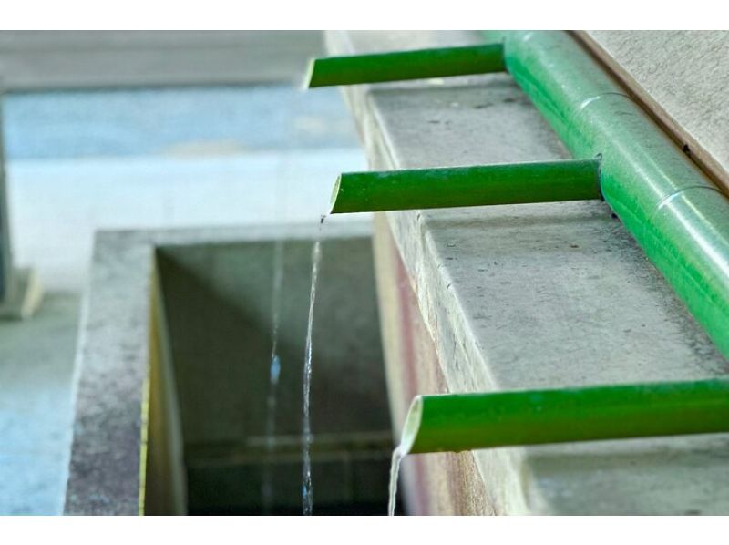 【東京・原宿】明治神宮のツアー！都会から休憩をとって自然に囲まれてゆっくりと歩きましょう！（原宿駅から1分）の紹介画像