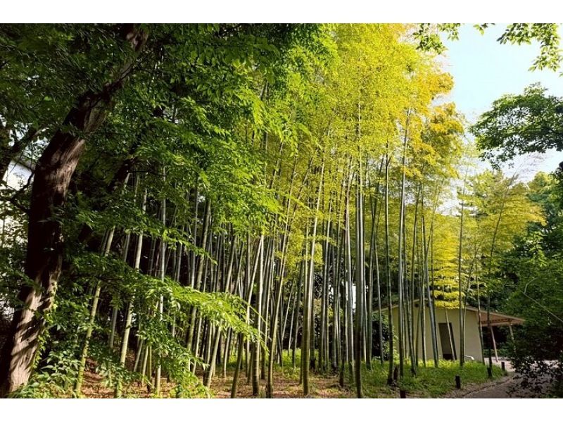 [โตเกียว ชูโอ/ชิโยดะ] ทัวร์พระราชวังอิมพีเรียล - เรียนรู้เกี่ยวกับประวัติศาสตร์ของโชกุน! ไม่จำเป็นต้องมีความรู้เกี่ยวกับประวัติศาสตร์ญี่ปุ่นมาก่อน!の紹介画像