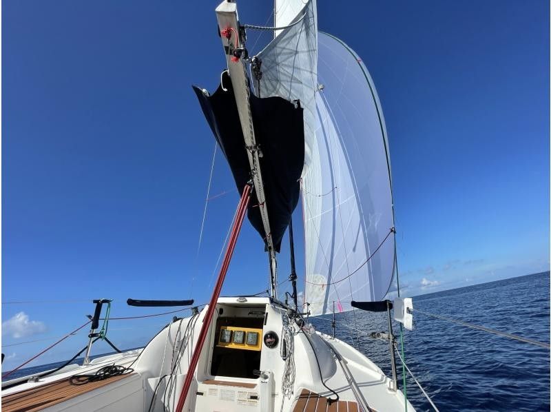 [Okinawa, Itoman] Affordable Yacht Sailing Cruise for 1 person (Early Morning Discount Plan)の紹介画像