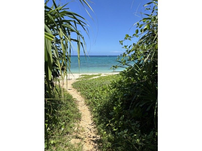 【沖縄　今帰仁村・本部】クリアカヤック　まるで海の上を空中散歩しているかのような気分が味わえます。＊Insta360で撮影無料！の紹介画像