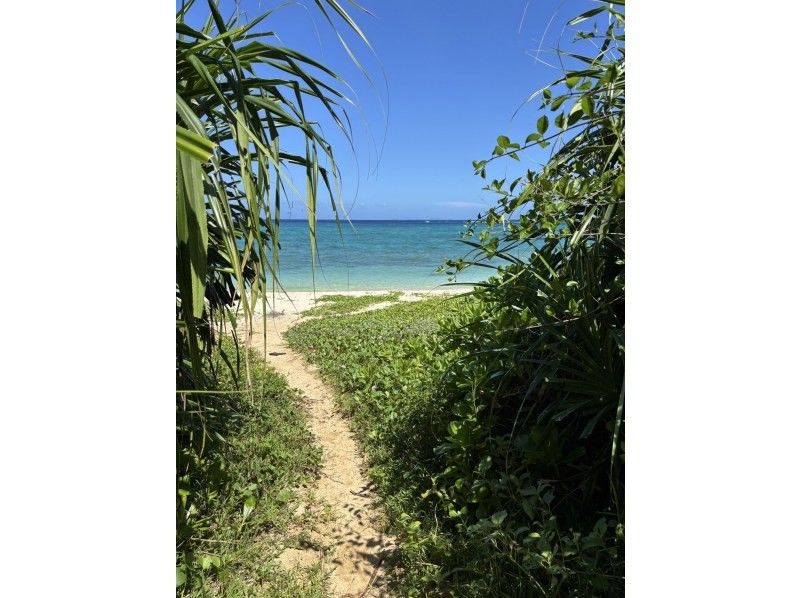 【沖縄・今帰仁村】クリアサップ・クリアカヤック&hellip;天然の水族館を味わえる。泳ぐのが苦手な方も大丈夫！シュノーケル&hellip;近くで鮮やかな竜宮城を体験！の紹介画像