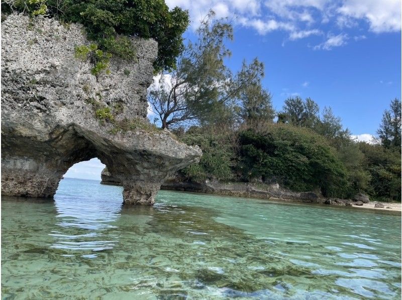 【오키나와&middot;나키진무라】클리어 삽&middot;클리어 카약&hellip;천연의 수족관을 맛볼 수 있다. 수영하는 것이 서투른 분도 괜찮아! 스노클링&hellip; 근처에서 생생한 용궁성을 체험!の紹介画像
