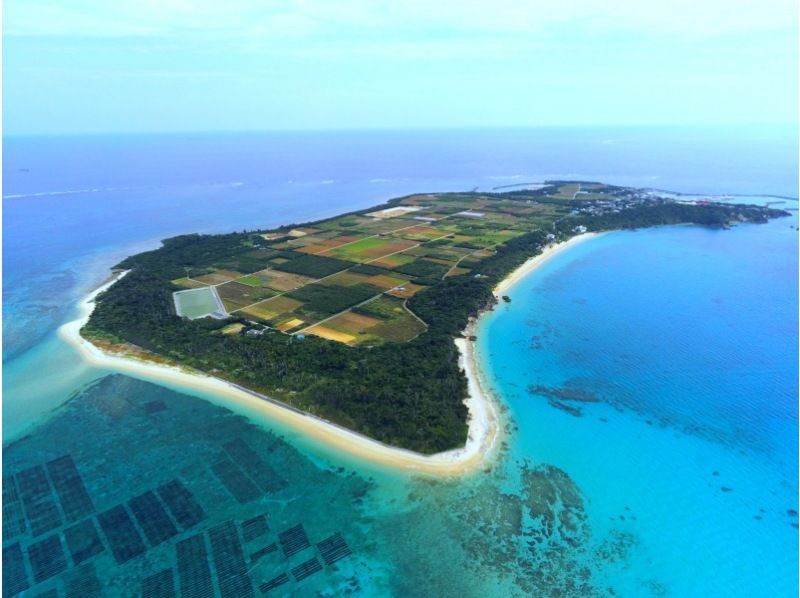 【沖縄・津堅島】キャロットアイランドと呼ばれる離島・津堅島で名産のにんじんを農業収穫体験！の紹介画像
