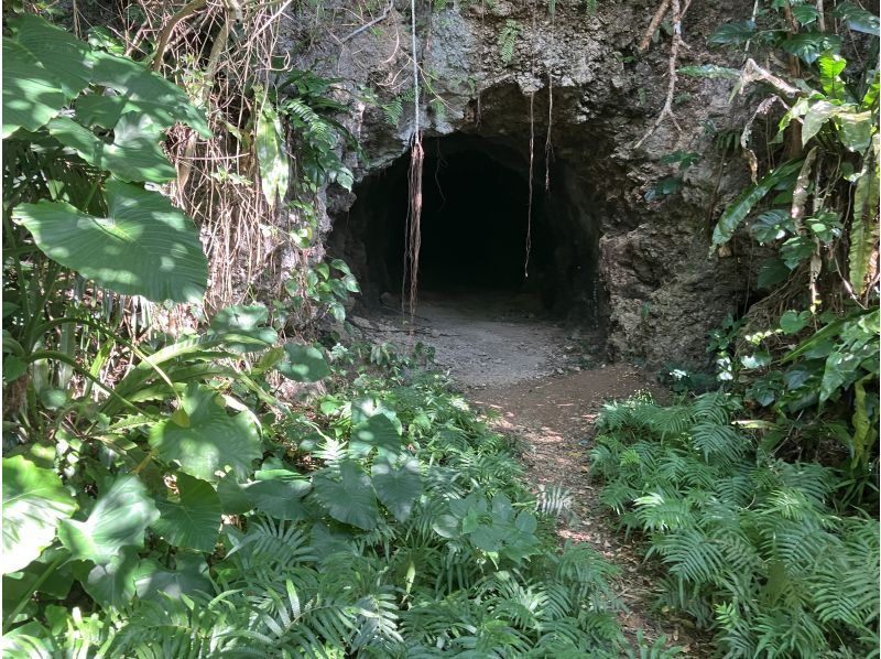 [โอกินาวา, ​​มิยาโกจิมะ] ทัวร์ภาคสนามเชิงประวัติศาสตร์ - ย้อนรอยความทรงจำ - เยี่ยมชมซากปรักหักพังและสัมผัสประวัติศาสตร์ ณ สถานที่จริงの紹介画像