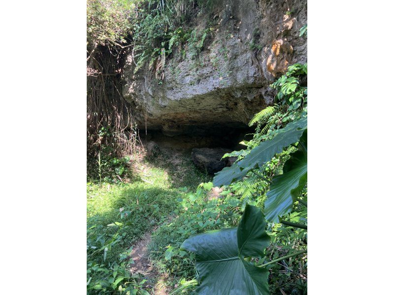 [โอกินาวา, ​​มิยาโกจิมะ] ทัวร์ภาคสนามเชิงประวัติศาสตร์ - ย้อนรอยความทรงจำ - เยี่ยมชมซากปรักหักพังและสัมผัสประวัติศาสตร์ ณ สถานที่จริงの紹介画像