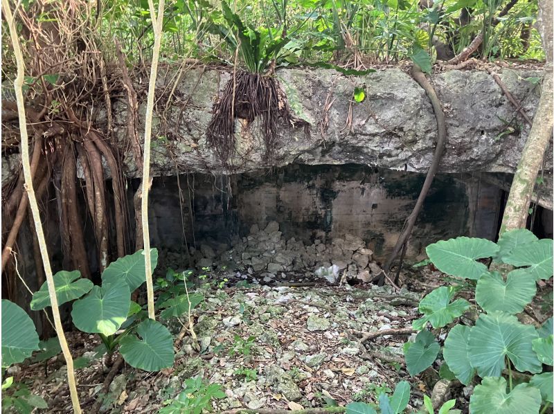 【沖縄・宮古島】 歴史探訪フィールドワークツアー 〜記憶を辿る〜　遺構を巡り&ldquo;現場&rdquo;で感じる歴史の時間の紹介画像