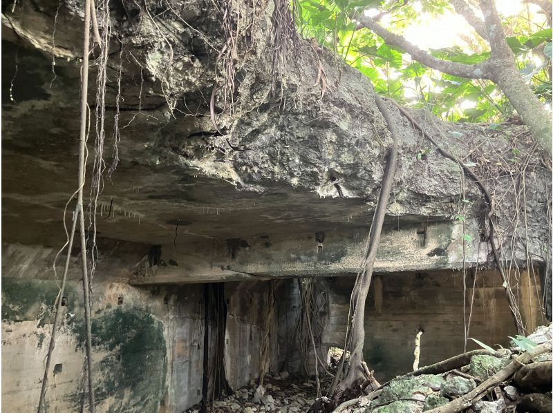 [โอกินาวา, ​​มิยาโกจิมะ] ทัวร์ภาคสนามเชิงประวัติศาสตร์ - ย้อนรอยความทรงจำ - เยี่ยมชมซากปรักหักพังและสัมผัสประวัติศาสตร์ ณ สถานที่จริงの紹介画像