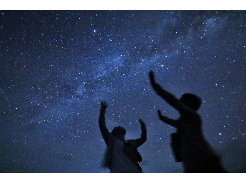 【沖縄・西表島】西表島と言えば、夜！「ナイトツアー」星空！フクロウ！カップル・ファミリーにお薦め。写真付・大原港付近の送迎付（夜1.5時間）の紹介画像