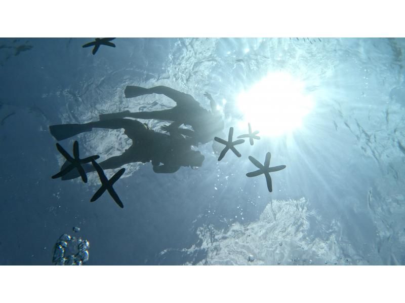 [จังหวัดโอกินาวา เมืองโมโตบุ] โปรโมชั่นพิเศษ "ส่วนลดนักเรียน" ช่วงเวลาจำกัด! ผจญภัยเล่น SUP และดำน้ำตื้นในทะเลใส: สัมผัสประสบการณ์ใกล้ชิดกับปลาหลากสีสันในมหาสมุทรใสสะอาด!の紹介画像