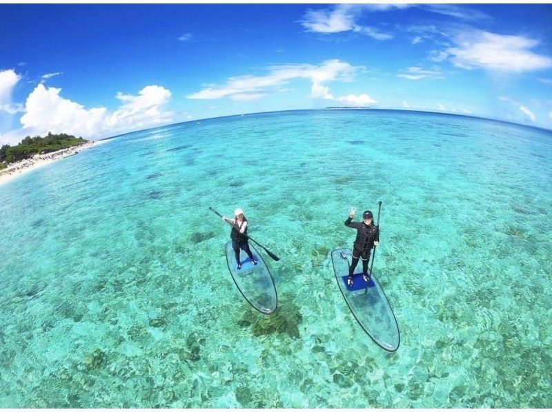 [จังหวัดโอกินาวา เมืองโมโตบุ] โปรโมชั่นพิเศษ "ส่วนลดนักเรียน" ช่วงเวลาจำกัด! ผจญภัยเล่น SUP และดำน้ำตื้นในทะเลใส: สัมผัสประสบการณ์ใกล้ชิดกับปลาหลากสีสันในมหาสมุทรใสสะอาด!の紹介画像