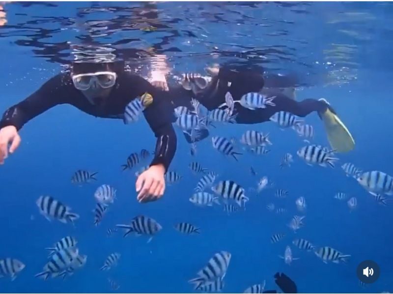 【宜野湾】トロピカルボートシュノーケル☆水中写真プレゼント☆の紹介画像