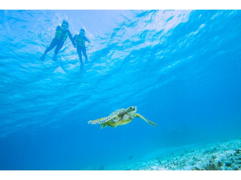 ＼ウミガメ完全制覇／ウミガメと2回泳ごうシュノーケルツアー｜再チャレンジ無料保証｜GoPro写真＆動画無料｜温水シャワー、ドライヤー完備♡の紹介画像