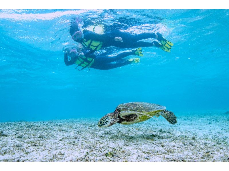 ＼ウミガメ完全制覇／ウミガメと2回泳ごうシュノーケルツアー｜再チャレンジ無料保証｜GoPro写真＆動画無料｜温水シャワー、ドライヤー完備♡の紹介画像