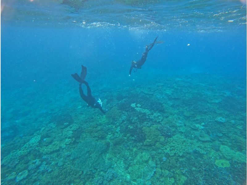Okinawa Blue Cave Snorkeling [Free GoPro Photos and Videos] Boat Entry | All-inclusive, Lowest Price! Wetsuit and Equipment Rental Included. Beginners Welcome!の紹介画像