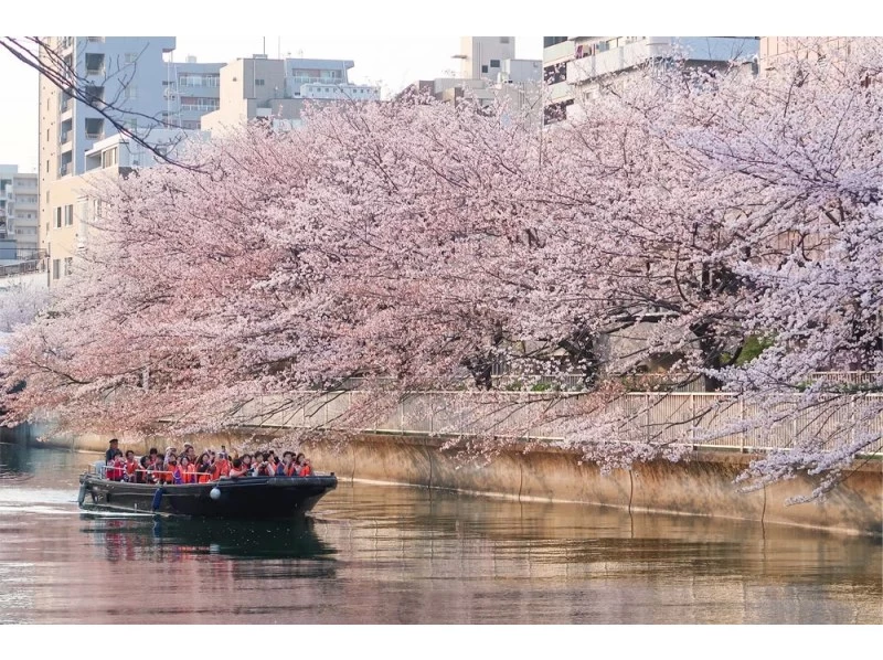 【東京・門前仲町】お花見クルーズ＆護摩祈祷見学｜春限定ツアーの紹介画像