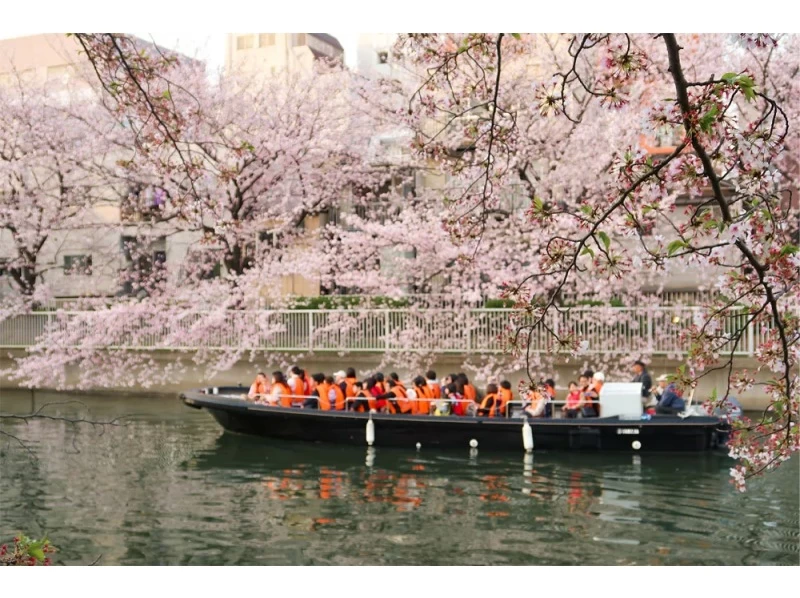 【東京・門前仲町】お花見クルーズ＆護摩祈祷見学｜春限定ツアーの紹介画像