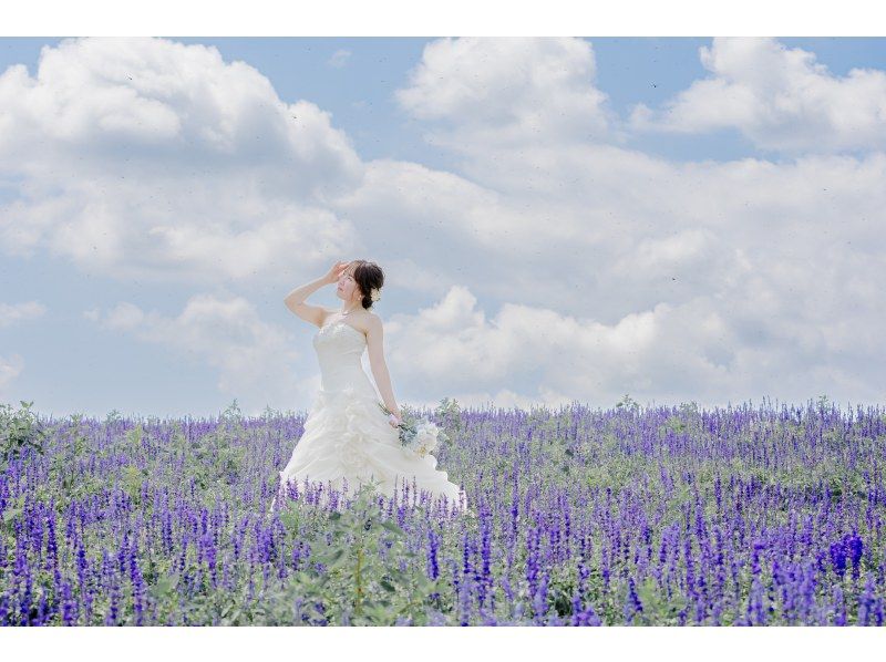 [Tokyo/Omori] Hokkaido Wedding Dress & Kimono Photo Tourの紹介画像