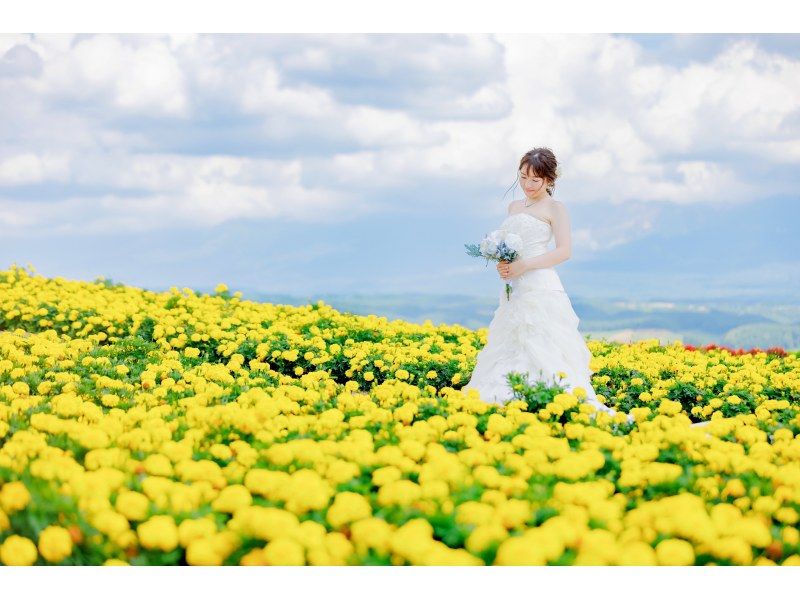 [Tokyo/Omori] Hokkaido Wedding Dress & Kimono Photo Tourの紹介画像