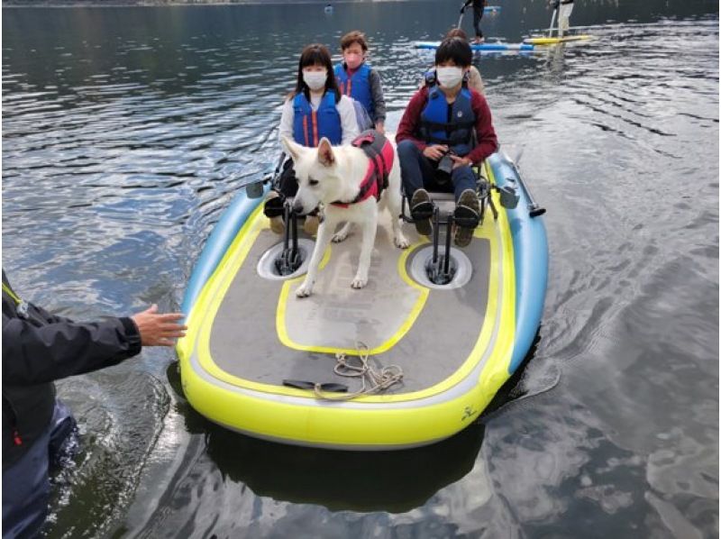 【山梨・西湖】ワンちゃんと一緒に湖上散歩♪安定感のある大型ボードで冬の国立公園を優雅にクルーズ！【ライフジャケットあり】の紹介画像