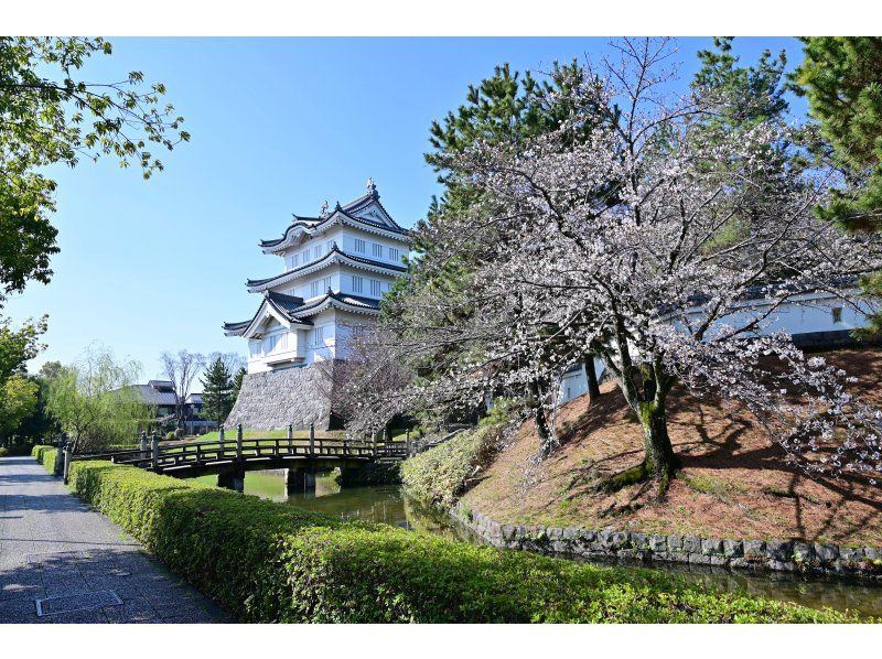 【埼玉・行田】 [体験英語ガイドプラン] 忍城で花手水づくり体験！お好みの花を選んで作成可能の紹介画像