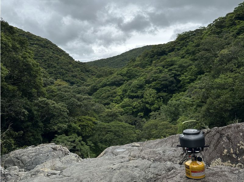 【奄美大島　半日プラン】奄美の大自然マングローブのカヌー体験と源流の滝をトレッキング半日ツアー(4時間半)の紹介画像