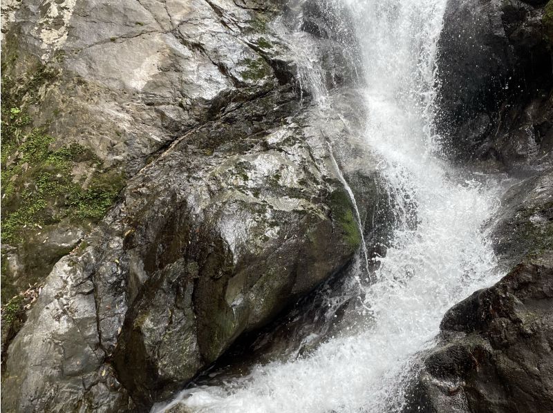 【奄美大島　半日プラン】奄美の大自然マングローブのカヌー体験と源流の滝をトレッキング半日ツアー(4時間半)の紹介画像