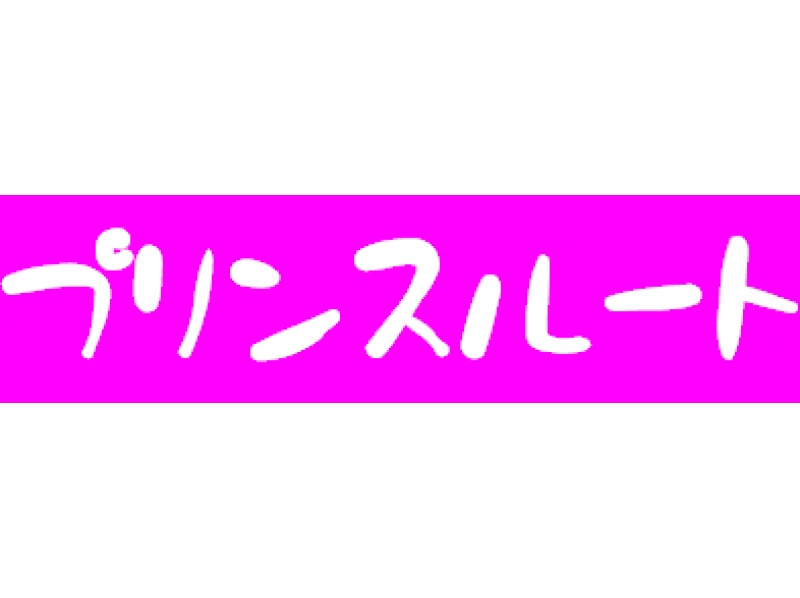 【静岡・富士山】『富士登山ツアー2026・送迎付きご来光プラン（プリンスルート）』バス送迎付き・完少人数制（ガイド1名にお客様5～10名!）の紹介画像