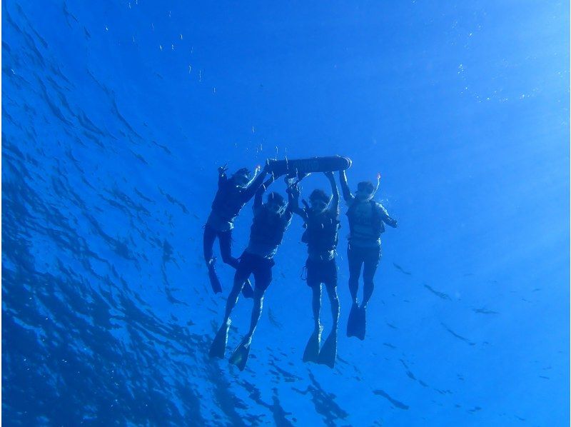船で行く幻の島上陸＆ウミガメシュノーケリング【半日3時間コース！ウミガメに会える！写真データ無料☆送迎無料☆秘境の島で感動体験！】の紹介画像