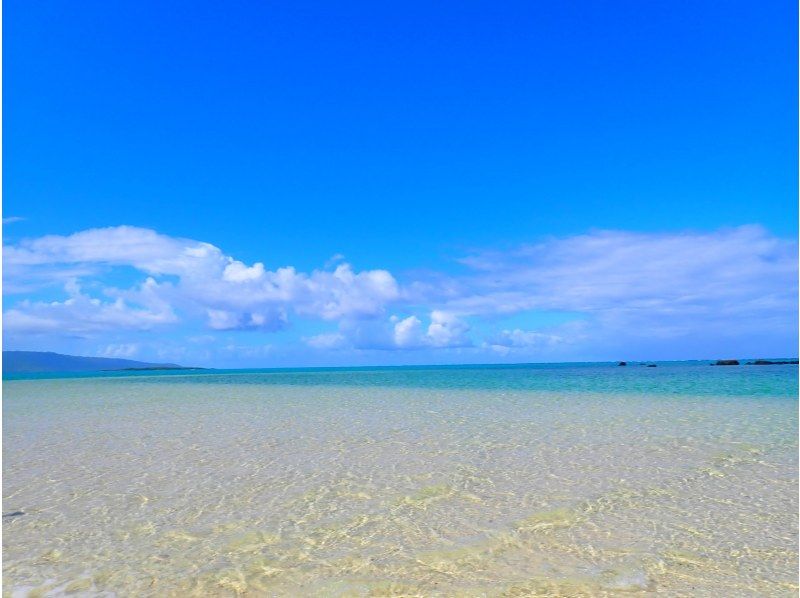 船で行く幻の島上陸＆ウミガメシュノーケリング【半日3時間コース！ウミガメに会える！写真データ無料☆送迎無料☆秘境の島で感動体験！】の紹介画像