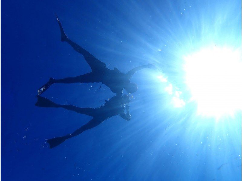 船で行く幻の島上陸＆ウミガメシュノーケリング【半日3時間コース！ウミガメに会える！写真データ無料☆送迎無料☆秘境の島で感動体験！】の紹介画像