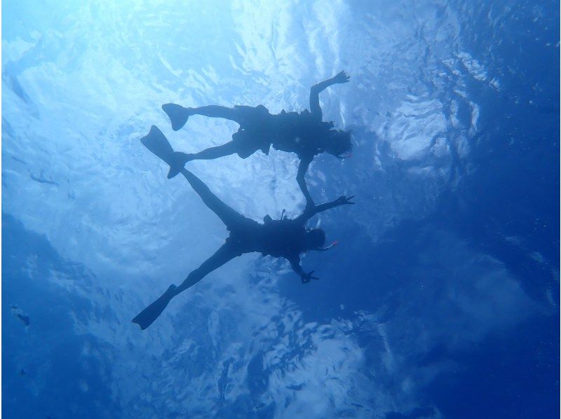 船で行く幻の島上陸＆ウミガメシュノーケリング【半日3時間コース！ウミガメに会える！写真データ無料☆送迎無料☆秘境の島で感動体験！】の紹介画像