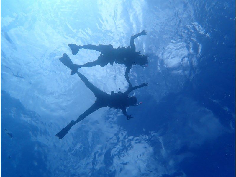 船で行く幻の島上陸＆ウミガメシュノーケリング【半日3時間コース！ウミガメに会える！写真データ無料☆送迎無料☆秘境の島で感動体験！】の紹介画像