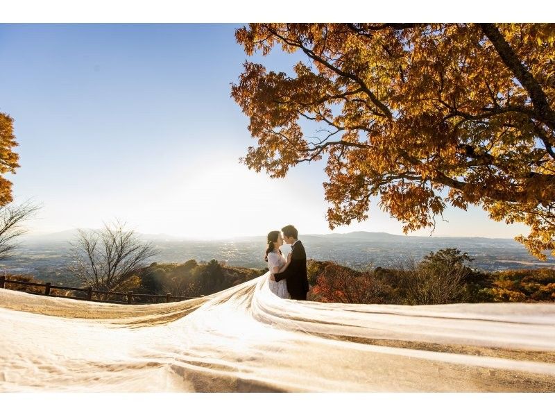 【東京・大森】京都・奈良ウェディングドレス&着物フォトツアーの紹介画像