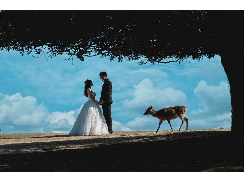 【東京・大森】京都・奈良ウェディングドレス&着物フォトツアーの紹介画像