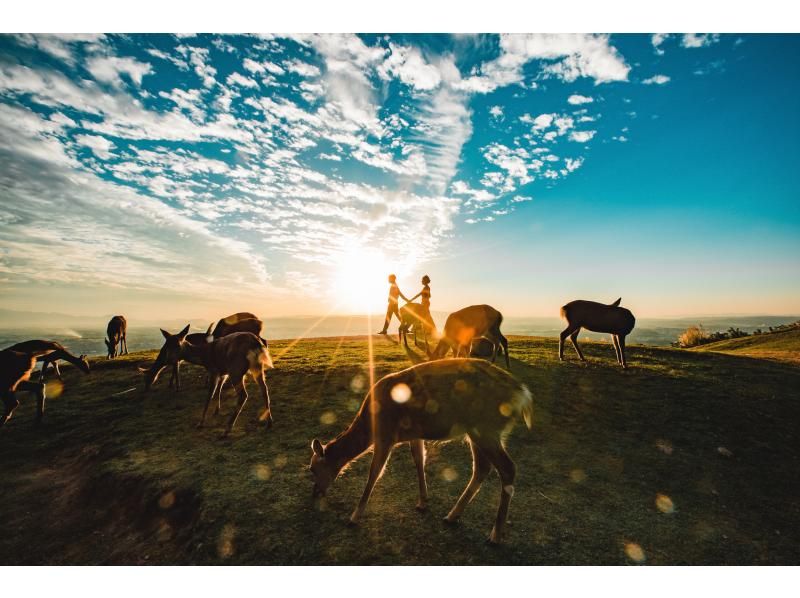 【東京・大森】京都・奈良ウェディングドレス&着物フォトツアーの紹介画像