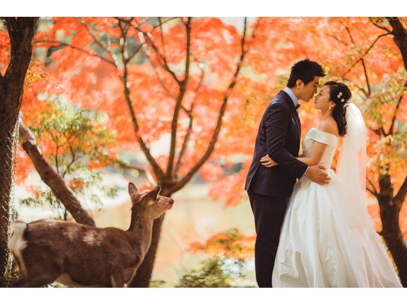 【東京・大森】京都・奈良ウェディングドレス&着物フォトツアーの紹介画像