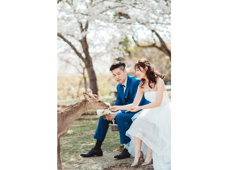 【東京・大森】京都・奈良ウェディングドレス&着物フォトツアーの紹介画像