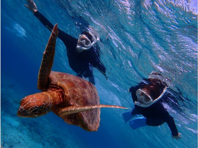 【宮古島/１組貸切】★スキンダイビング★ウミガメと泳げるシュノーケリングツアー！遭遇率100%継続中！ウミガメ・ニモ・珊瑚全部をご案内！！の紹介画像