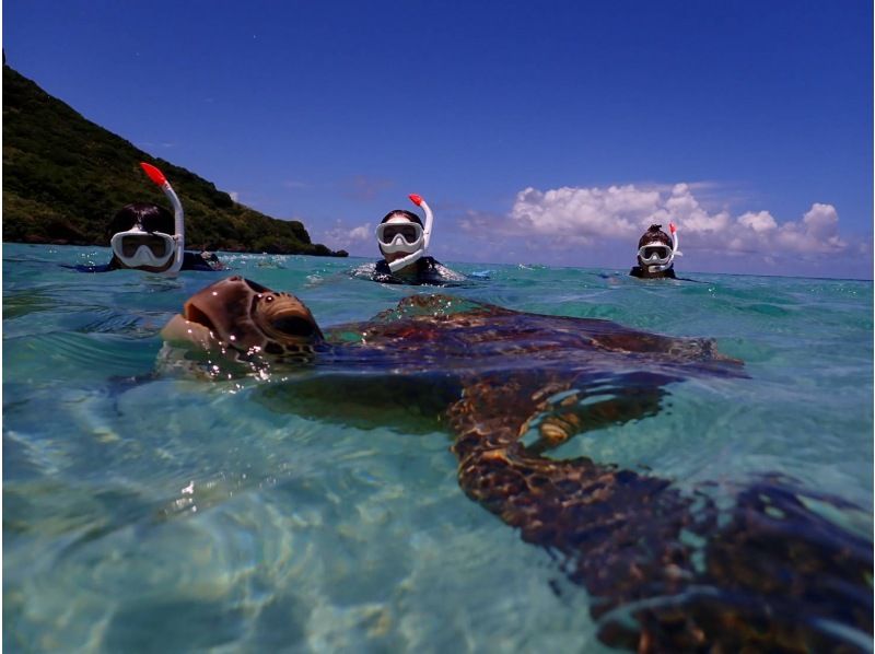 【宮古島/１組貸切】★スキンダイビング★ウミガメと泳げるシュノーケリングツアー！遭遇率100%継続中！ウミガメ・ニモ・珊瑚全部をご案内！！の紹介画像
