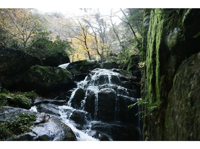 【福井・若狭美浜】新庄修験道トレッキングツアー　～屏風ヶ滝を目指して～の紹介画像