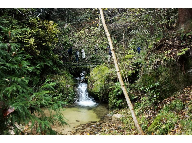 【福井・若狭美浜】新庄修験道トレッキングツアー　～屏風ヶ滝を目指して～の紹介画像