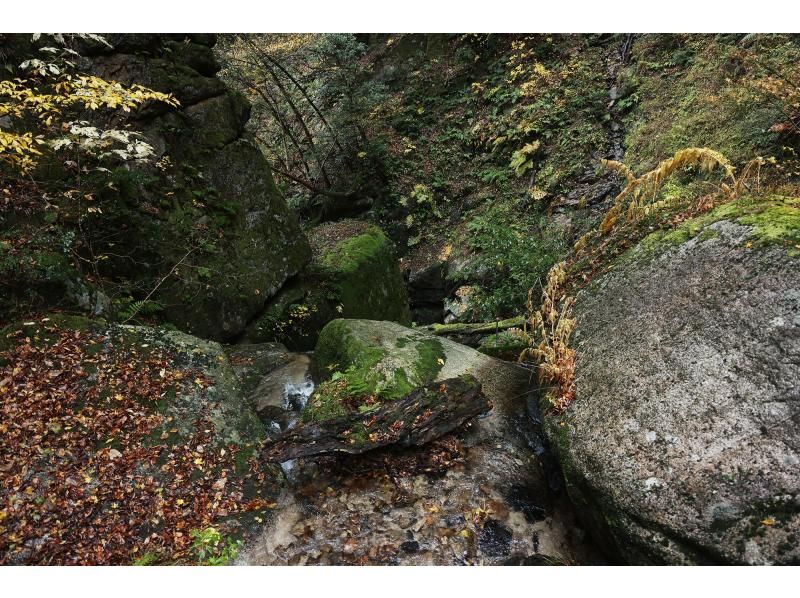 【福井・若狭美浜】新庄修験道トレッキングツアー　～屏風ヶ滝を目指して～の紹介画像