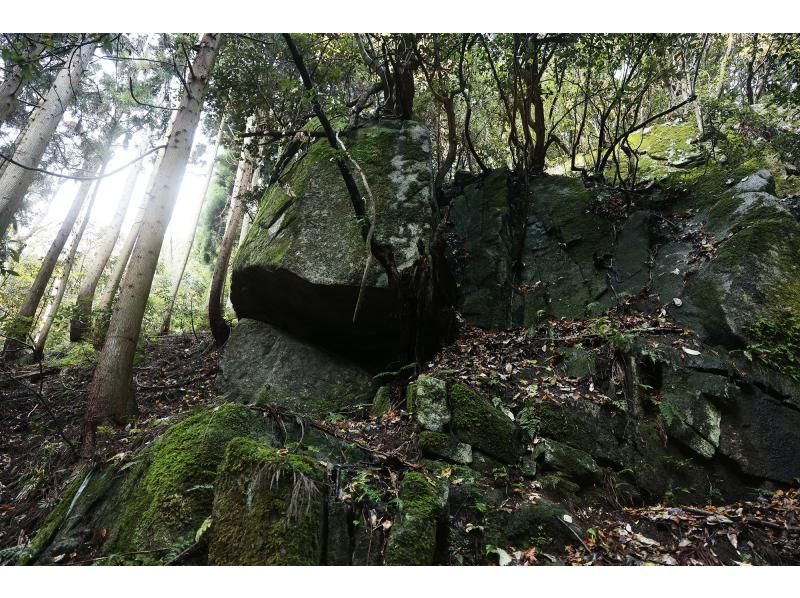 【福井・若狭美浜】命の源流へ ～美浜の「水」が「食」に変わる瞬間を辿る、サステナブル・ネイチャー1dayツアー～の紹介画像