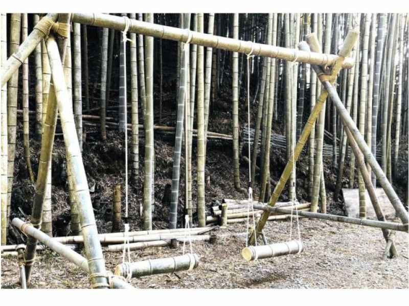 【京都・木津川】筍狩りとピザ焼きイベントの紹介画像