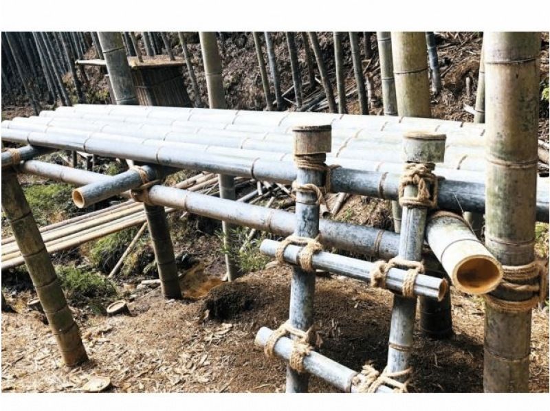 【京都・木津川】筍狩りとピザ焼きイベントの紹介画像