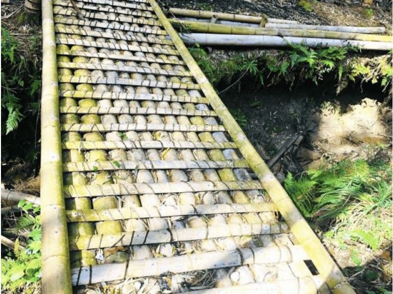 【京都・木津川】筍狩りとピザ焼きイベントの紹介画像