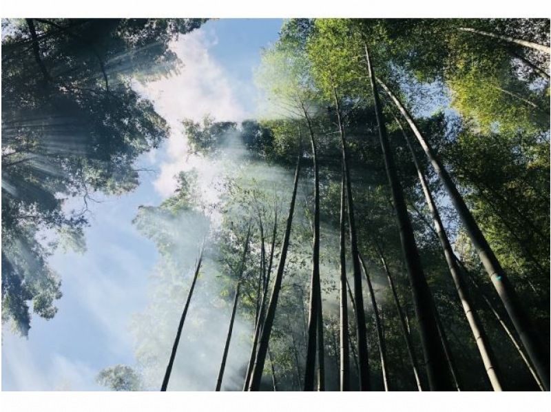 【京都・木津川】筍狩りとピザ焼きイベントの紹介画像