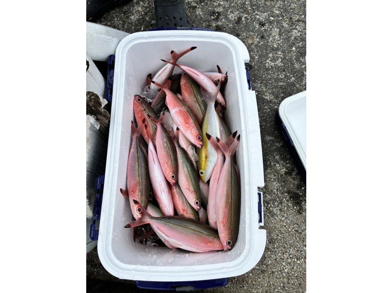 【宮古島/釣り船｜半日】釣った魚を食べられる？！手ぶらでOK！エサ付けから魚の処理までプロにお任せ！3歳から楽しめるワクワク体験釣りツアー!の紹介画像