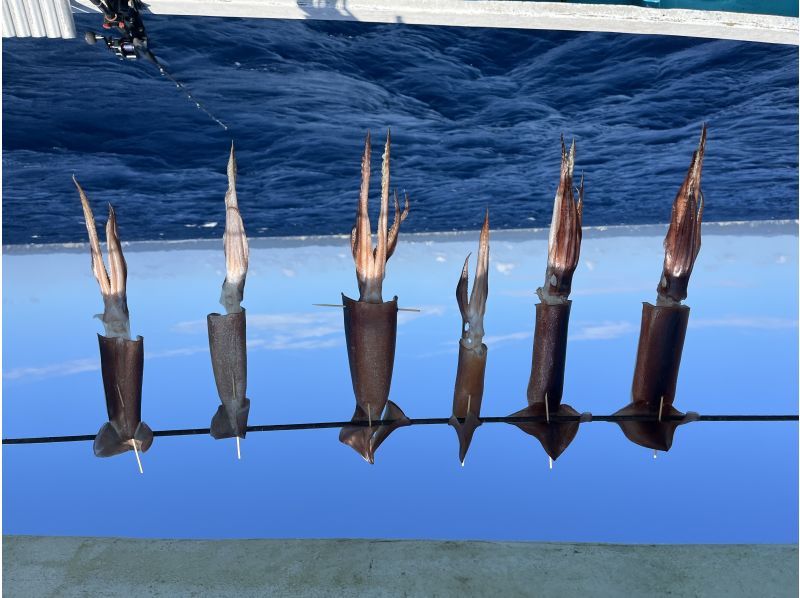 【千葉・勝浦】《八幡丸》イカの船釣り体験！初心者歓迎！乗合プランの紹介画像