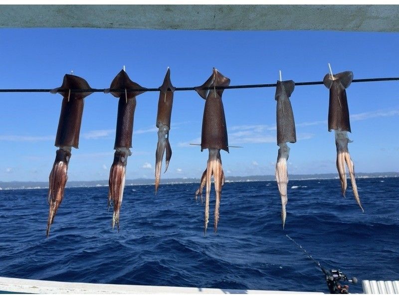 【千葉・勝浦】《八幡丸》イカの船釣り体験！初心者歓迎！乗合プランの紹介画像